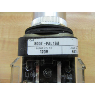 Allen Bradley 800T-PAL16A Push Button Switch - New No Box