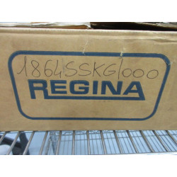 Regina 1864SSKG FliteTop Conveyor Chain 1864 3 Meter Length