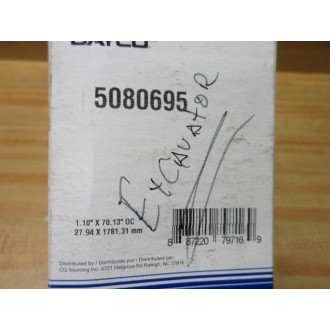 Dayco 5080695 Poly Rib Gold Label Belt