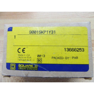 Square D 9001-SKP1Y31 Pilot Light