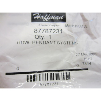 Hoffman 87787231 HDW Pendant Systems Kit (Pack of 2)