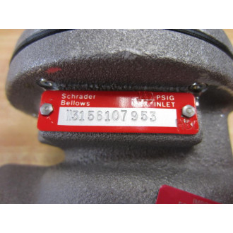 Schrader Bellows N3156107953 Inline Valve