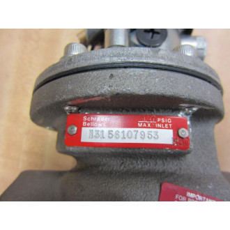 Schrader Bellows N3156107953 Inline Valve - New No Box