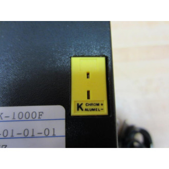 Omega RDZ55K-1000F Temperature Recorder RDZ55K1000F