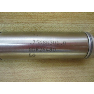 Schrader Bellows .75NSR301.0 Pneumatic Cylinder 75NSR3010 - New No Box
