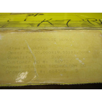Chesterton 067315 Hydraulic Seals (Pack of 2)