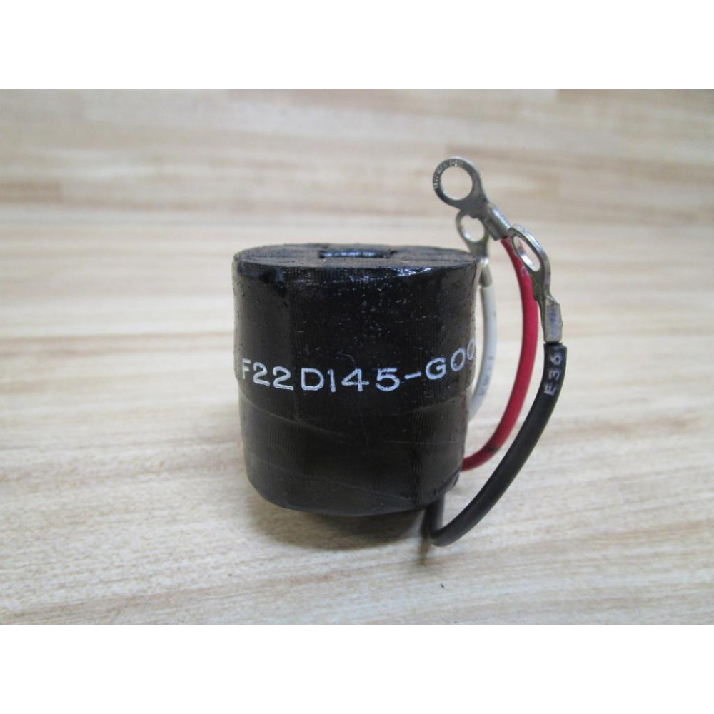 General Electric F22D145-G004 Coil - New No Box