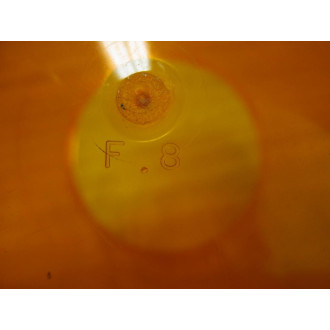 F.8 Light Cover F8 - New No Box