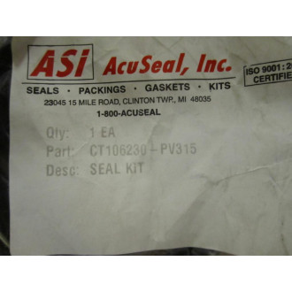 ASI CT106230-PV315 Seal Kit
