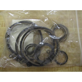 ASI CT106230-PV315 Seal Kit