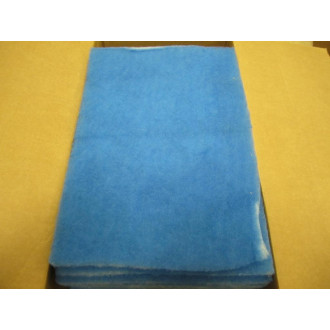 P100-MTO-12171 Filter Airguard (Pack of 25)