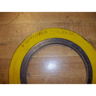Flexitallic 2 12" 34600 ASME B 16.20 Gasket (Pack of 10) - New No Box