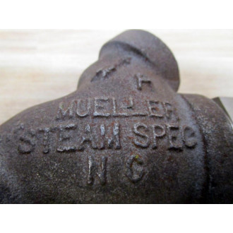 Mueller CF8M Y Strainer - Used