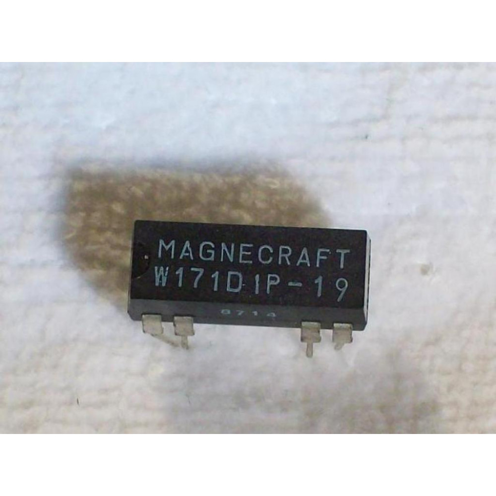 Magnecraft W171D1P-19 Relay - New No Box