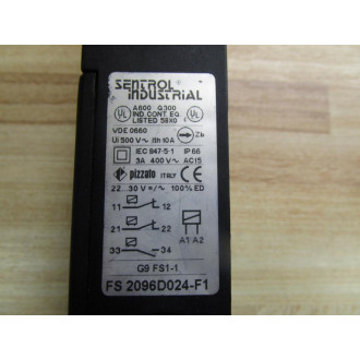 Sentrol Industrial FS 2096D024-F1 Safety Switch  FS2096D024F1 - New No Box