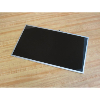 Au Optronics B173RW01 17.3" LCD Display Panel - Used