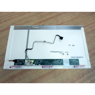 Au Optronics B173RW01 17.3" LCD Display Panel - Used