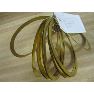 Limitorque 60-660-0015-1 Shim  6066000151 (Pack of 14) - New No Box