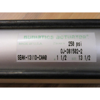 Numatics SEAK-13I1D-CAA0 Cylinder SEAK1311DCAA0 - New No Box