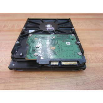 Seagate 9SL131-542 Hard Drive ST3250318AS - Used