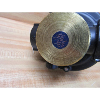 Watts R119-06CGM2 Regulator wGauge R11906CGM2