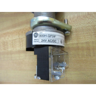 Allen Bradley 800H-QP24G Pilot Light Assembly - New No Box
