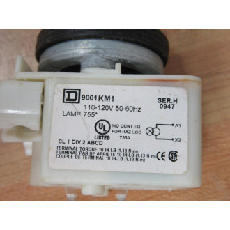Square D 9001-KP1R31 Pilot Light 9001KP1R31 - New No Box