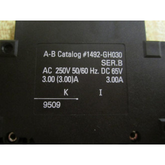 Allen Bradley 1492-GH030 Circuit Breaker 3A 1492GH030 Series B - New No Box