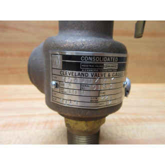 Consolidated 1541DXMY 34" Dresser Safety Valve