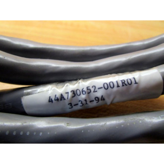 Positronic Industries 44A730652-001R01 Cable 44A730652001R01 - Used
