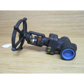 RP&C F81D-1 Globe Valve 1" - New No Box