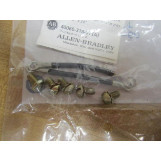Allen Bradley 40016-021-60 Screw Kit (Pack of 2)