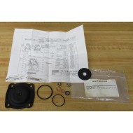 Pentair 1070069 Diaphragm & Seal Kit 424-RA