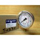 Noshok 25-901-300 Gauge 25901300