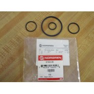 Norgren 3163-05 DESII Repair Kit 316305