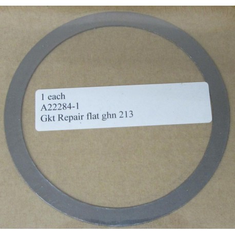 Armstrong A22284-1 Repair Gasket A222841