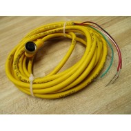 Turck WKB 3T-4 Sensor Cable U2223-02 - New No Box