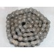 Rex 120 Roller Chain