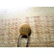 Multicomp 821K Ceramic Capacitor C11821K3AS6 (Pack of 91)
