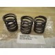 Burgmaster 0247659-00A Valve Spring 024765900A (Pack of 3)