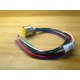 Turck RKFV 126-0.3M14.5NPT Cable U0924-94