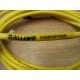 Balluff C49GNF04PY020M Cordset W Connectors