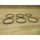 Hanna Cylinders 706-00047-255 Piston Packing Kit E-250