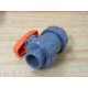 Hayward TB1100STE 1" True Union Ball Valve