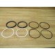 Hanna 706-0047-031 Piston Packing Kit 7060047031