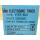 Idec RTE-B21 Electronic Timer Relay RTEB21 120 VAC - New No Box