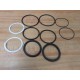Hanna 706-00047-251 Piston Packing Kit A-250