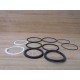 Hanna 706-00047-251 Piston Packing Kit A-250