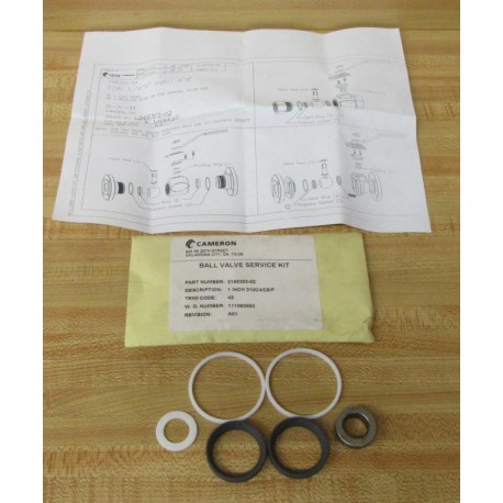 Cameron 2168303-02 Service Kit 216830302