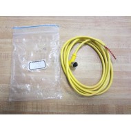 Turck WKB3T-2 Microfast Cordset WKB3T2